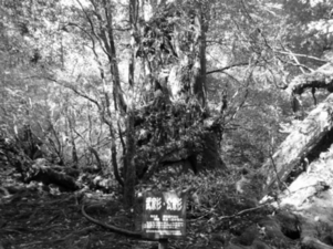 m04.jpg