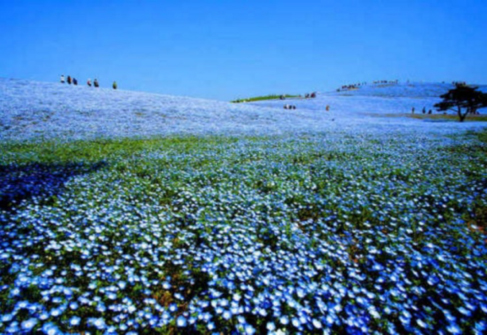 写真002.jpg
