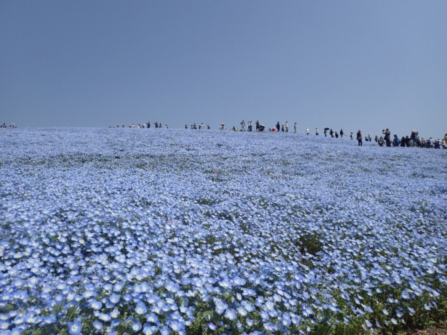 写真004.jpg