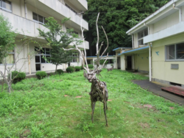 写真006.jpg