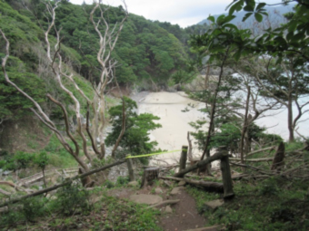 写真0010.jpg