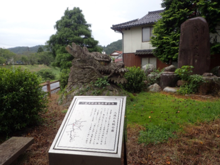 写真0014.jpg