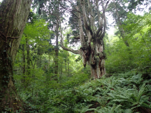 写真0024.jpg