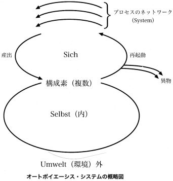 写真0040.jpg